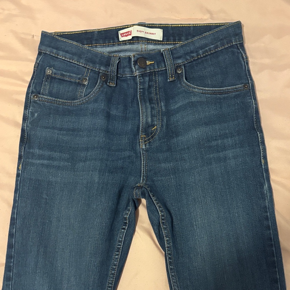 Levi's Men's Denim Skinny Pants